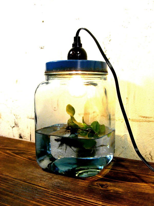 画像2: 昭和30年代・ゆらゆらガラス・海苔瓶・青・小・ランプ(LEDフィラメント電球）