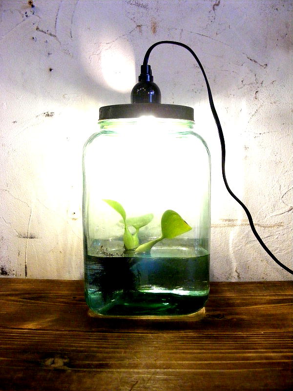アンティーク・リメイク・ライトの昭和30年代・ゆらゆらガラス・海苔瓶・緑・ランプ(LEDフィラメント電球）が仕上がりました。